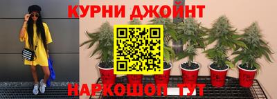 мяу мяу мука Балахна