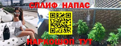 мдпв Владимир