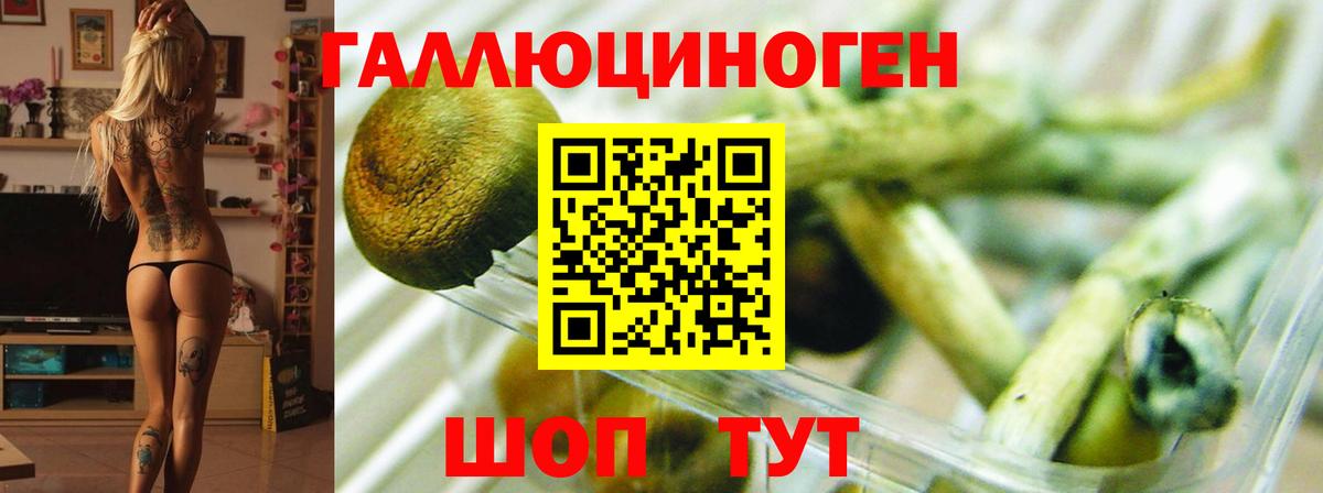 Псилоцибиновые грибы мицелий  купить   Вход с VPN  Вольск  Галлюциногенные грибы Magic Shrooms 